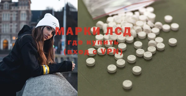 сатива Армянск